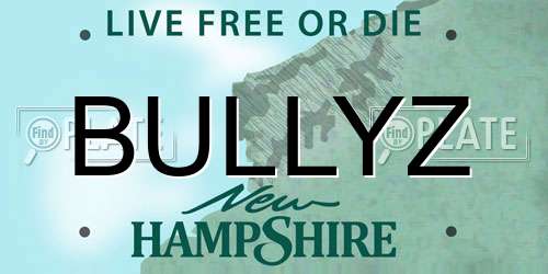 BULLYZ New Hampshire License Plate