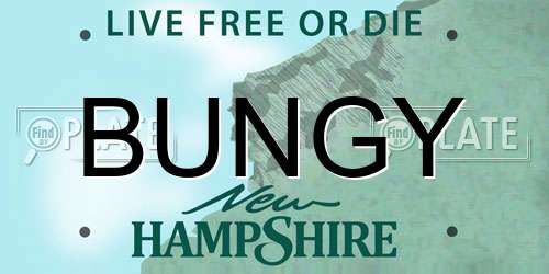 BUNGY New Hampshire License Plate