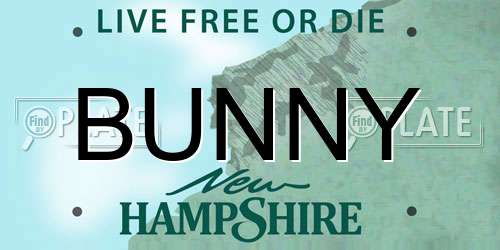 BUNNY New Hampshire License Plate