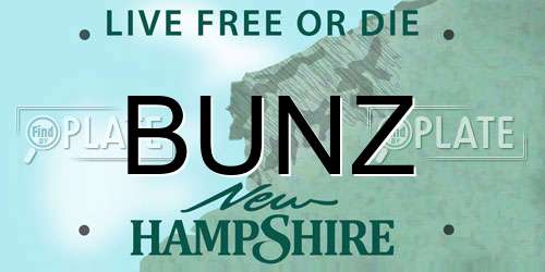 BUNZ New Hampshire License Plate