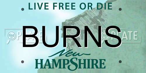 BURNS New Hampshire License Plate
