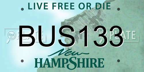 BUS133 New Hampshire License Plate
