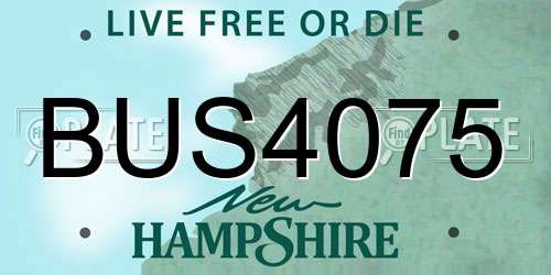 BUS4075 New Hampshire License Plate