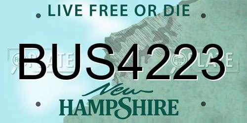 BUS4223 New Hampshire License Plate