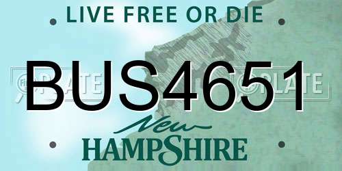 BUS4651 New Hampshire License Plate