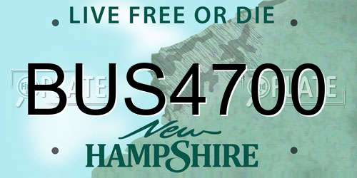 BUS4700 New Hampshire License Plate