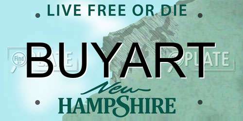 BUYART New Hampshire License Plate