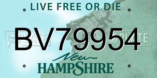 BV79954 New Hampshire License Plate