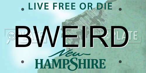 BWEIRD New Hampshire License Plate