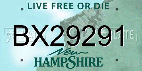 BX29291 New Hampshire License Plate