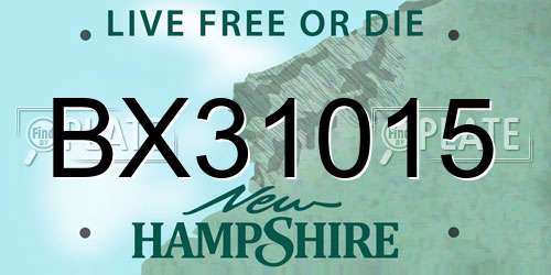 BX31015 New Hampshire License Plate