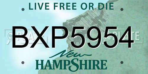 BXP5954 New Hampshire License Plate