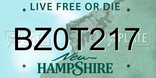 BZ0T217 New Hampshire License Plate