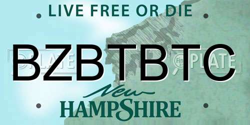 BZBTBTC New Hampshire License Plate