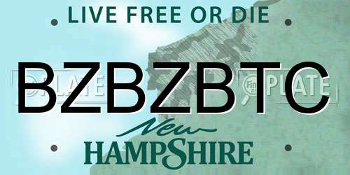 BZBZBTC New Hampshire License Plate
