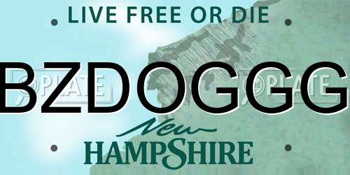BZDOGGG New Hampshire License Plate