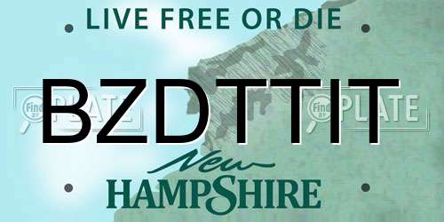 BZDTTIT New Hampshire License Plate