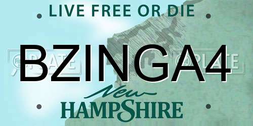 BZINGA4 New Hampshire License Plate
