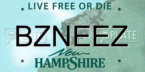 BZNEEZ New Hampshire License Plate