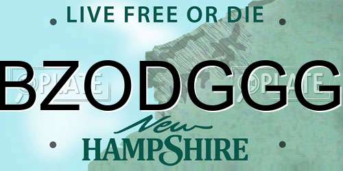 BZODGGG New Hampshire License Plate