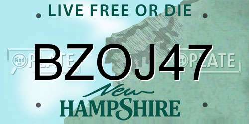 BZOJ47 New Hampshire License Plate