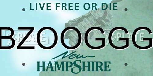 BZOOGGG New Hampshire License Plate