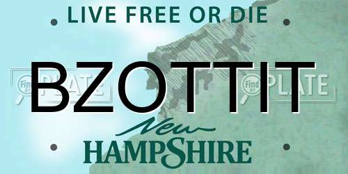 BZOTTIT New Hampshire License Plate