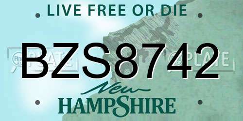 BZS8742 New Hampshire License Plate