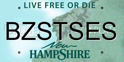 BZSTSES New Hampshire License Plate