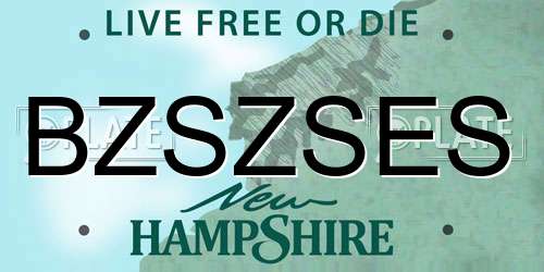 BZSZSES New Hampshire License Plate