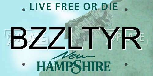 BZZLTYR New Hampshire License Plate