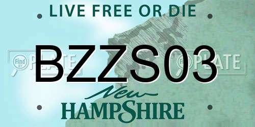 BZZS03 New Hampshire License Plate
