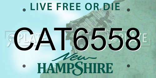 CAT6558 New Hampshire License Plate