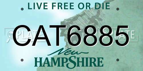 CAT6885 New Hampshire License Plate