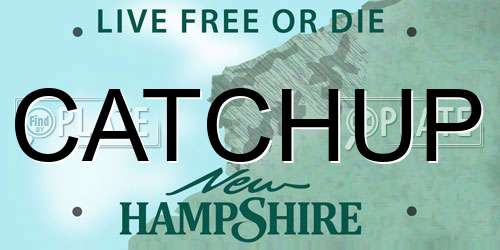 CATCHUP New Hampshire License Plate