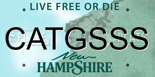 CATGSSS New Hampshire License Plate