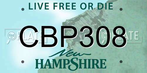 CBP308 New Hampshire License Plate
