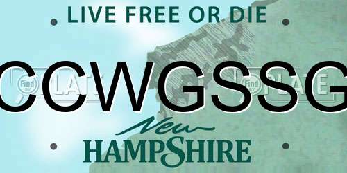 CCWGSSG New Hampshire License Plate