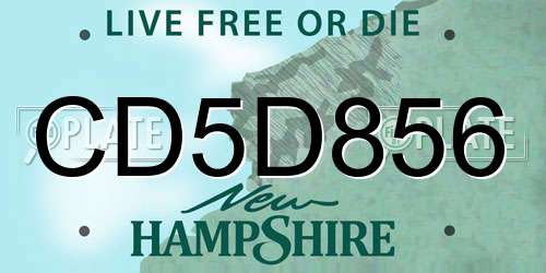 CD5D856 New Hampshire License Plate