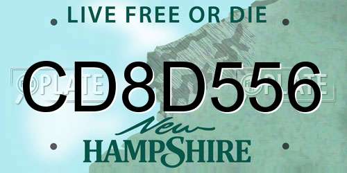 CD8D556 New Hampshire License Plate