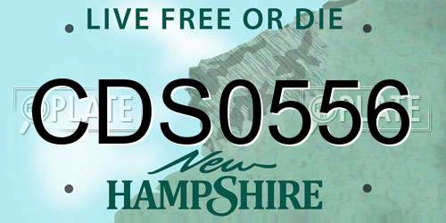 CDS0556 New Hampshire License Plate