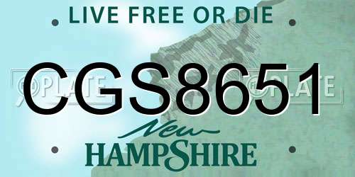 CGS8651 New Hampshire License Plate