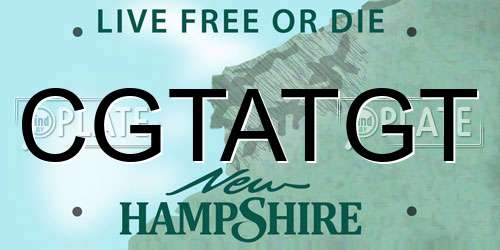 CGTATGT New Hampshire License Plate