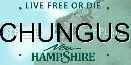 CHUNGUS New Hampshire License Plate