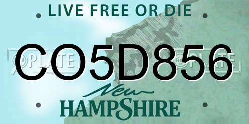 CO5D856 New Hampshire License Plate