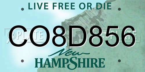 CO8D856 New Hampshire License Plate