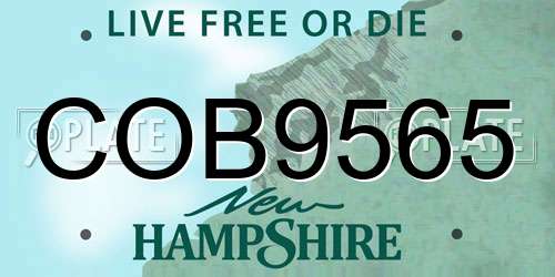 COB9565 New Hampshire License Plate