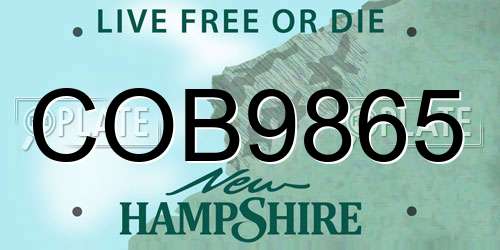 COB9865 New Hampshire License Plate