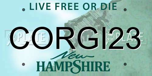 CORGI23 New Hampshire License Plate