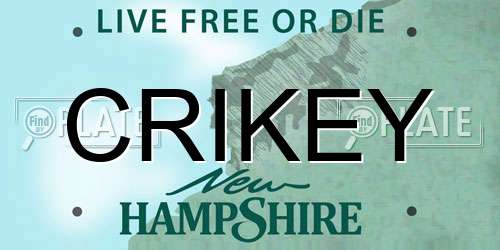 CRIKEY New Hampshire License Plate